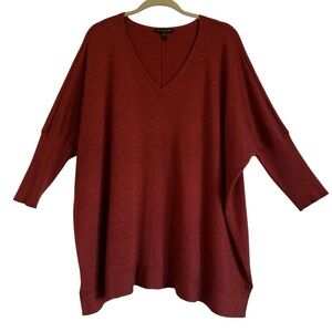 Eileen Fisher Merino Wool Relaxed V-Neck Sweater Size Large